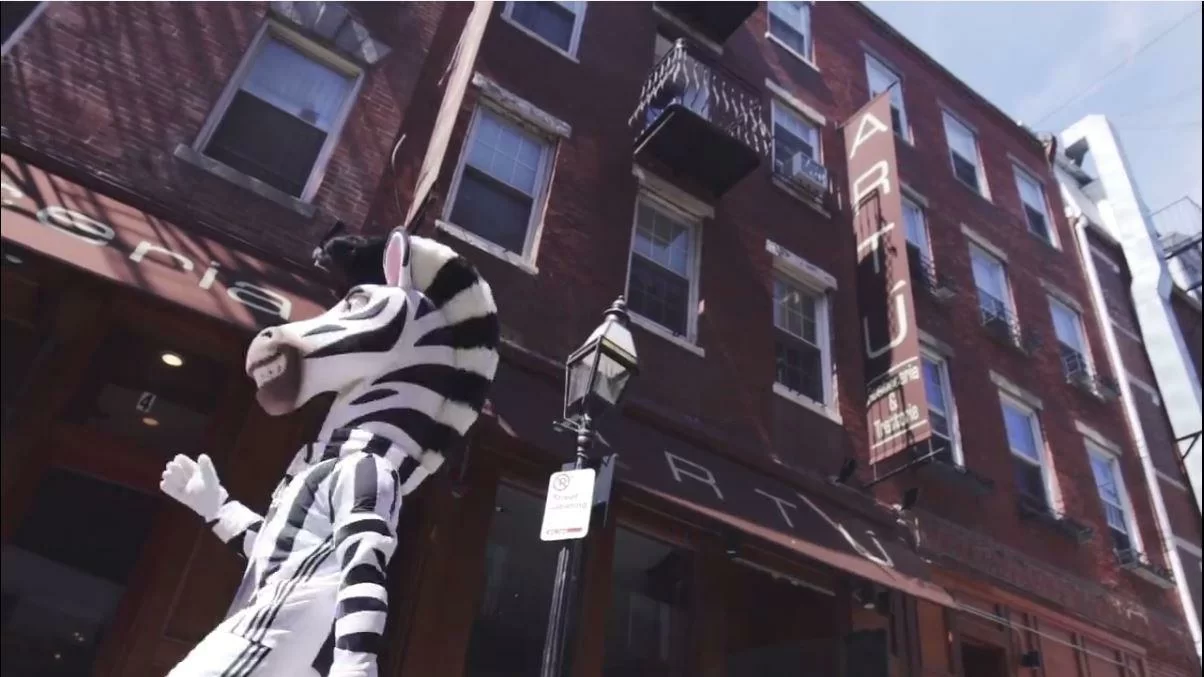 VIDEO: la zebra Jay dà spettacolo in America!