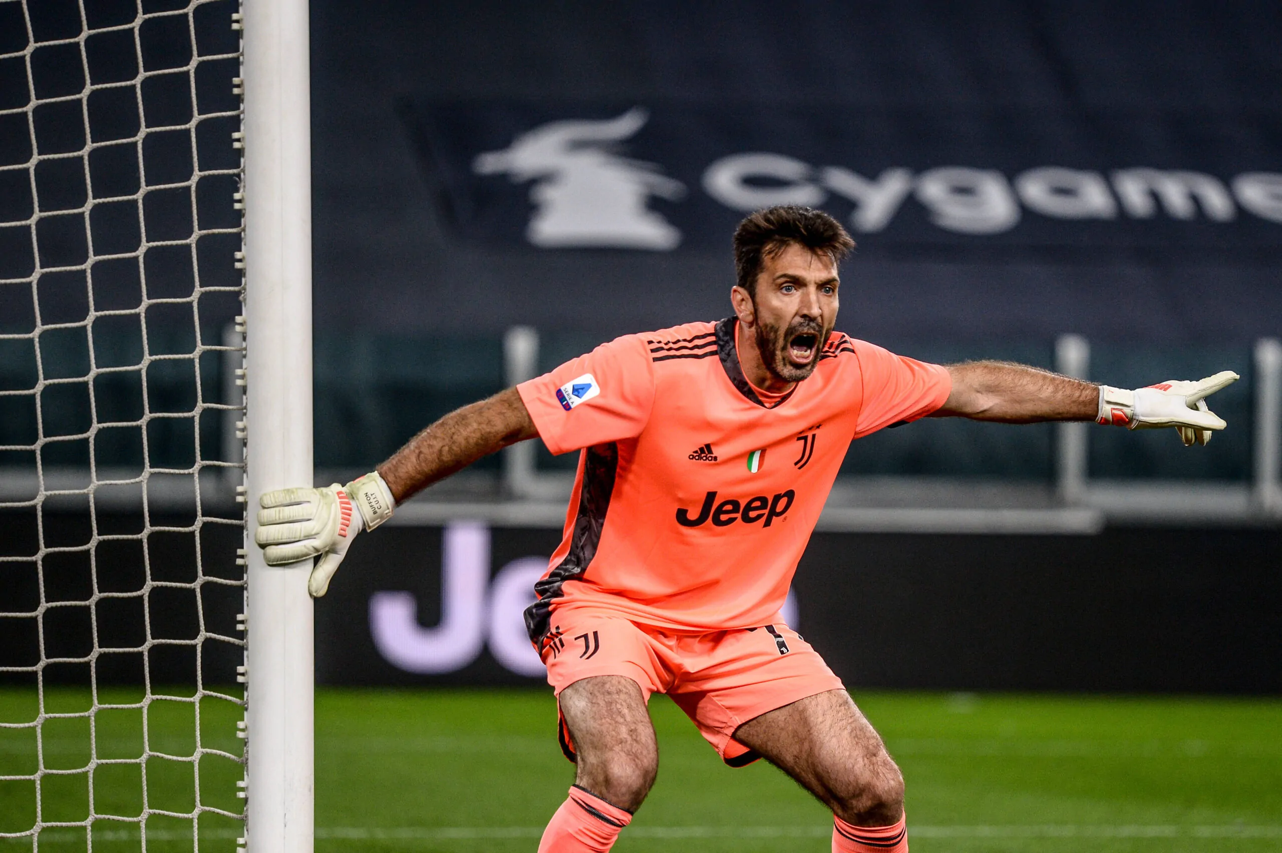 Buffon