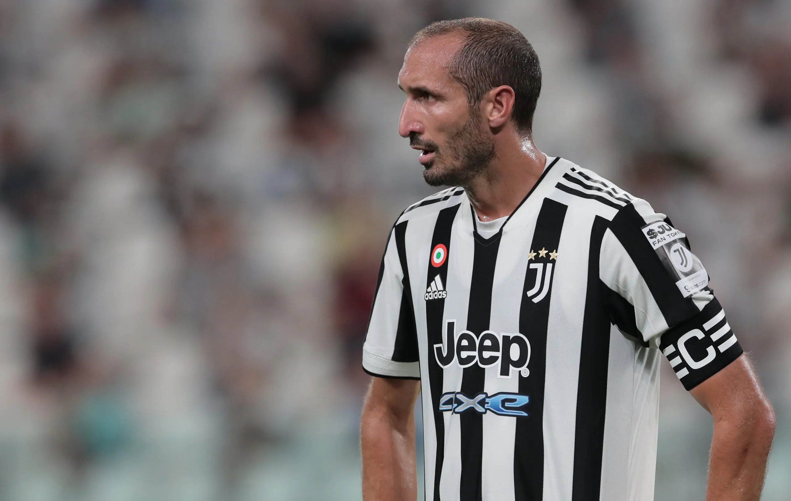 Chiellini e la decisione sul futuro alla Juventus: la scelta
