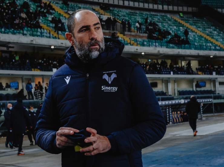 Tudor ai tempi del Verona