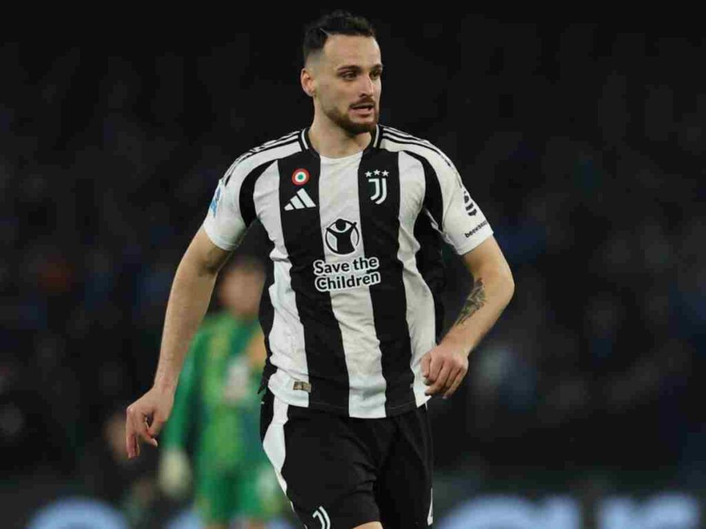 Gatti in primo piano