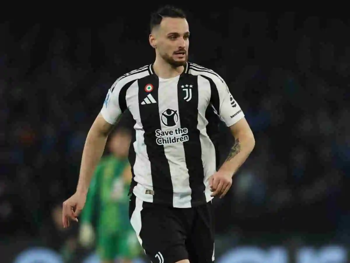 Gatti in primo piano