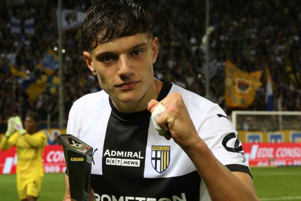 Leoni in primo piano