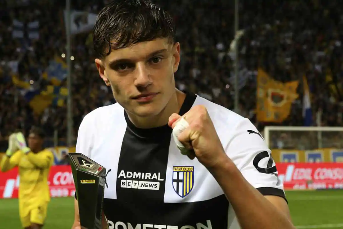 Leoni in primo piano