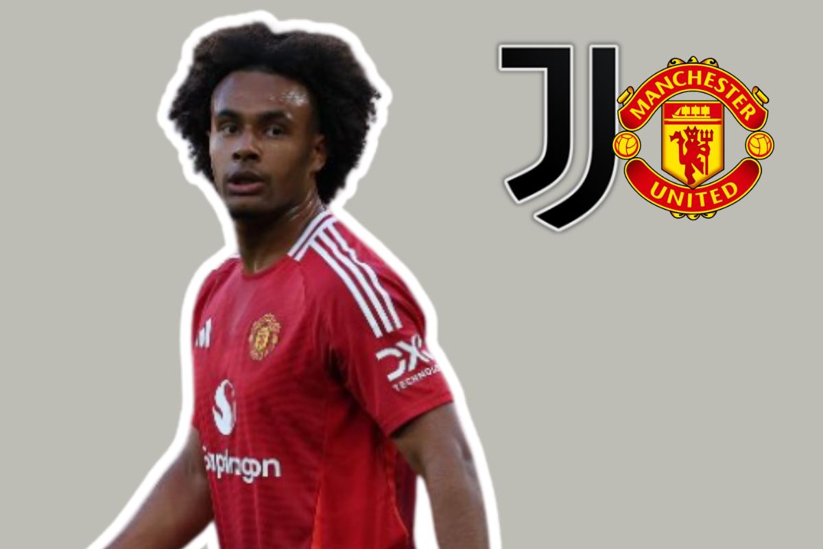 Joshua Zirkzee ipotesi della Juventus